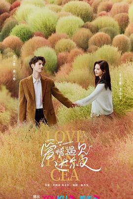 成都seo优化口碑好